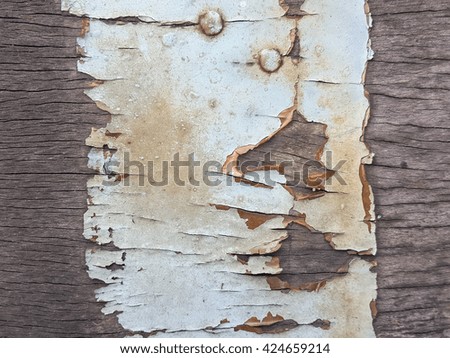 old bark wood texture background