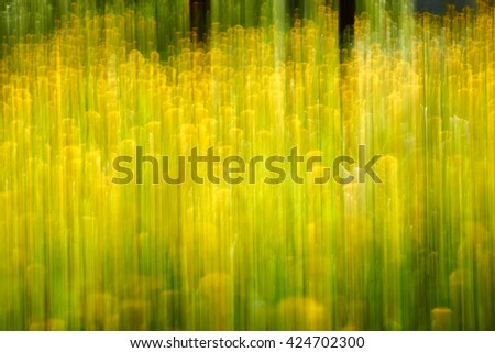   Green abstract background                             