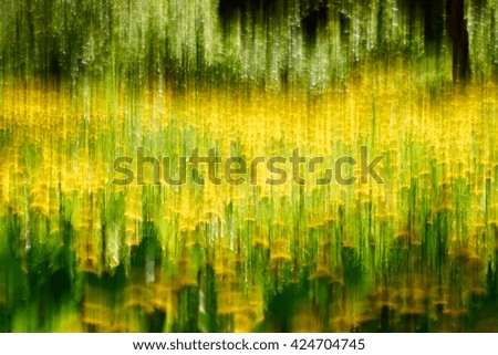   abstract background, natural colors                             