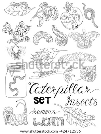 Hand drawn set with pests, larva, caterpillars, moth, worms and other invader insects isolated. Doodle line art illustration and graphic sketch, black and white vector with icons, gardening theme