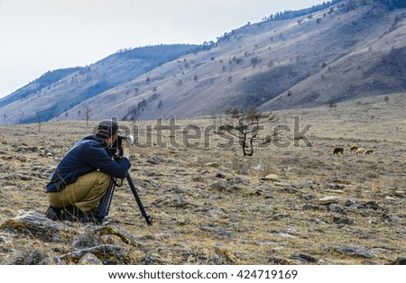 photographer photographing the tree and cows in mountainous terrain