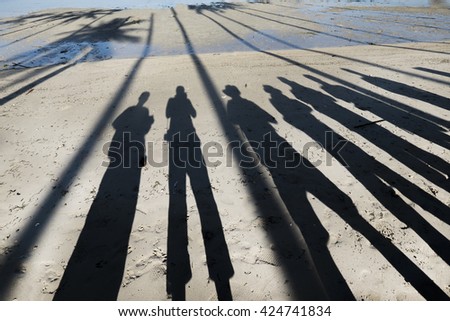 Line of shadow coconut tree frame in sand beach with photographer 