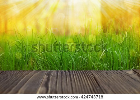 Beauty natural background. Fresh summer green grass with green bokeh and sunlight and wood floor.