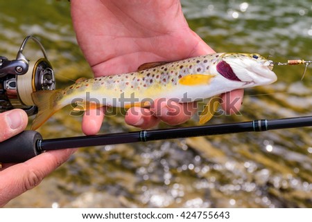 A fisherman caught trout on the mountain river