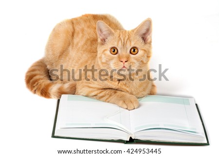 A red cat is wearing glasses lying on the book and looking up, isolated on white background