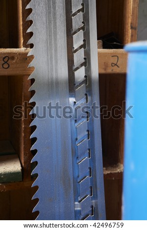 closeup of the teeth of saw blades in front of a shelf at a workshop