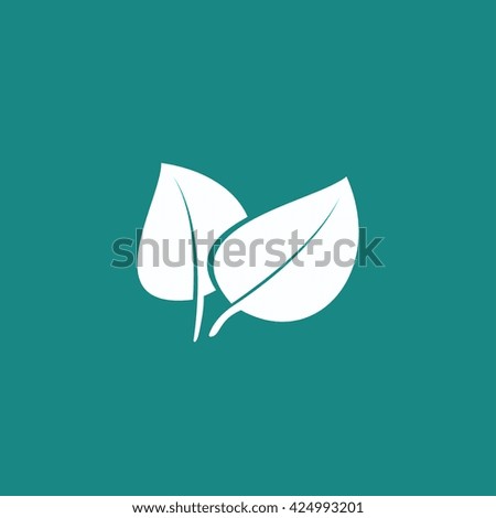 leaf  icon