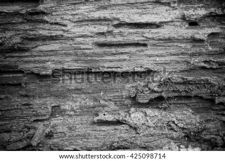 Old wood rotten.
