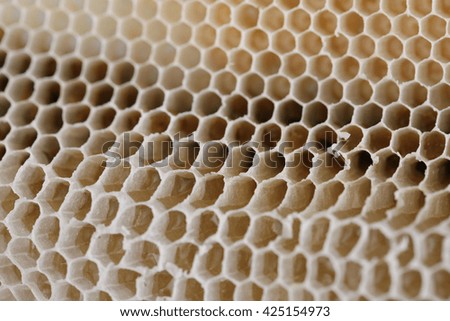 Honeycomb,natural honeycomb background.