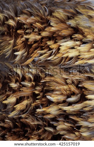 Layer of Feather Texture Background