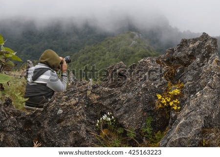 Yellow and White flowers growing at calcareous rocks with blurred photographer background