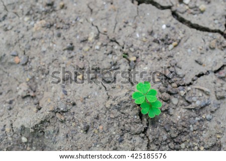 Picture of close up green leaves. Green nature view for using as background or wallpaper. Go green concept. Save world.