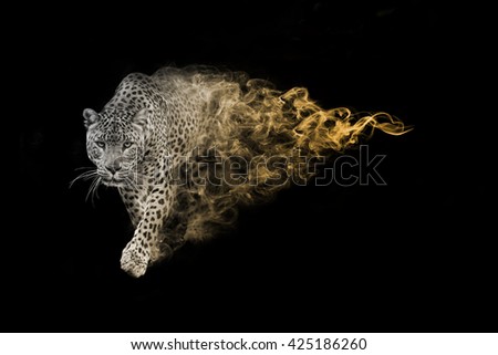 The african leopard is one of the big five animals you must see in africa, animal kingdom collection, African wildlife Royalty-Free Stock Photo #425186260