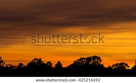 Black silhouette of trees in orange sunset 