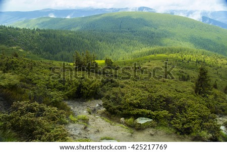 Mountain chain in The Carpathians (Ukraine). Mountain forest. Beautiful mountain forest landscape. Mountain forest before storm. Amazing mountain forest. Green mountain forest in clouds.