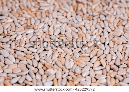 Sunflower Seeds Texture As Background.