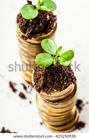 Golden coins in soil with young plant. Money growth concept.