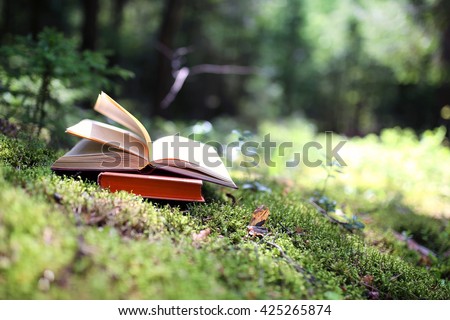Open book outdoor. Knowledge is power. Book in a forest Royalty-Free Stock Photo #425265874