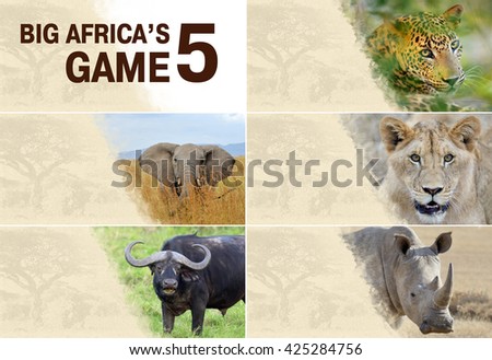 Big five africa - Lion, Elephant, Leopard, Buffalo and Rhinoceros Royalty-Free Stock Photo #425284756