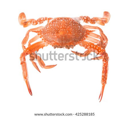 cooked crab prepared isolated on white background