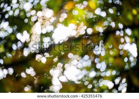 Summer or Early Autumn Bokeh Background, Yellow and Green Colours
