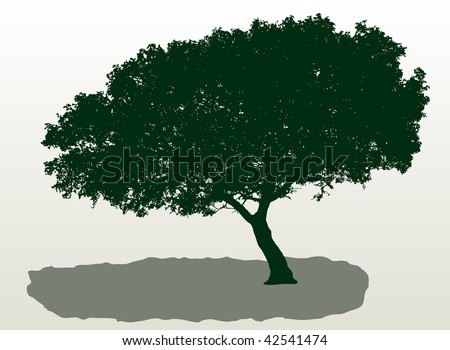 vector mediterranean tree