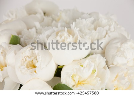 Beautiful white peony. Awesome flowers. 