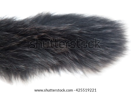 black fur white background
