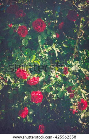 Red roses climb a rose arbor in the garden, grunge paper textured background.