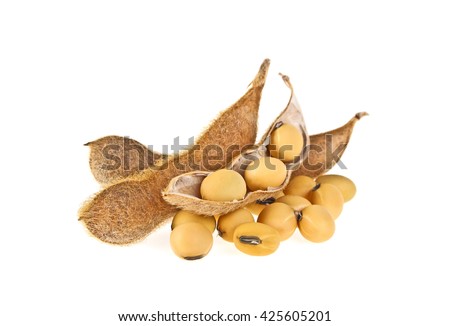 Soybean pods isolated on white background. Soya - protein plant for health food. Royalty-Free Stock Photo #425605201