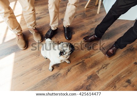 Pug on a wooden floor with an expressive face looking at the camera .