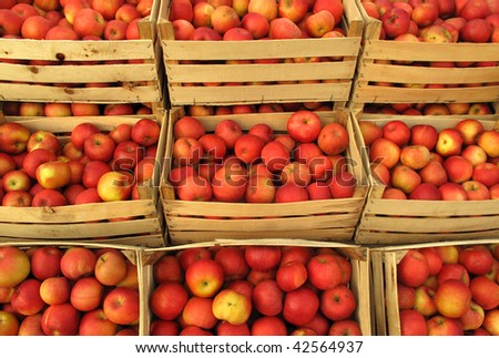 apples in crates on market