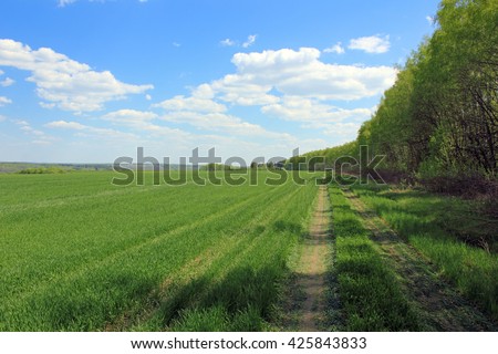 Rural way on the edge of a field photo