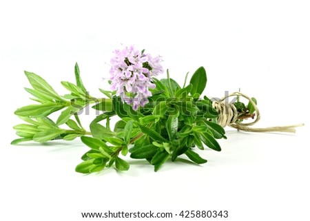 bunch of thyme isolated on white background Royalty-Free Stock Photo #425880343
