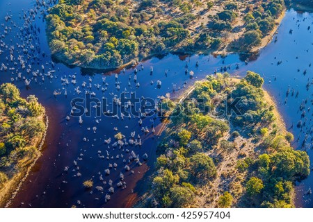 Okavango delta (Okavango Grassland) is one of the Seven Natural Wonders of Africa (view from the airplane) - Botswana, South-Western Africa. Royalty-Free Stock Photo #425957404