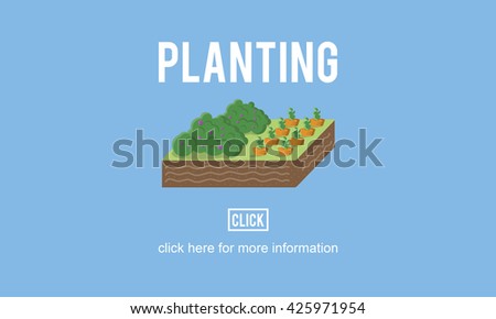 Organic Agriculture Crop Environment Growing Concept