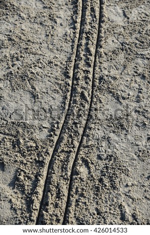 Scratched in the sand
