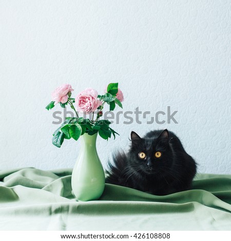 A bouquet of roses and a cat
