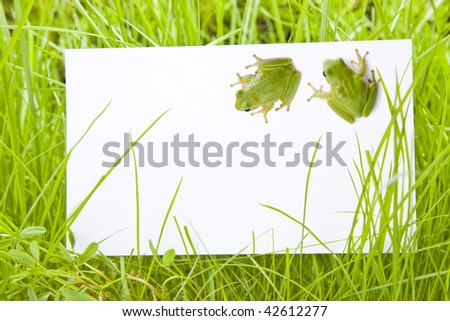 White Sign Amongst Grass with Two Tree Frogs