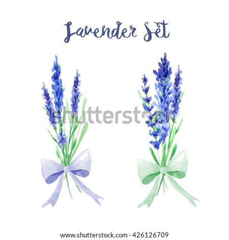 Hand painted watercolor lavender floral bouquets.  Provence decor compositions perfect for wedding invitation and cards.