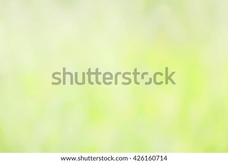
Abstract soft style background blur, natural park outdoors spring season