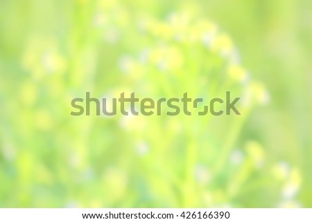 Abstract soft style background blur, natural park outdoors spring season, a bright green nature background texture with space for text or image