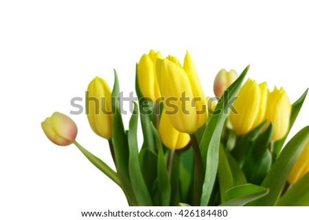 tulips cut out