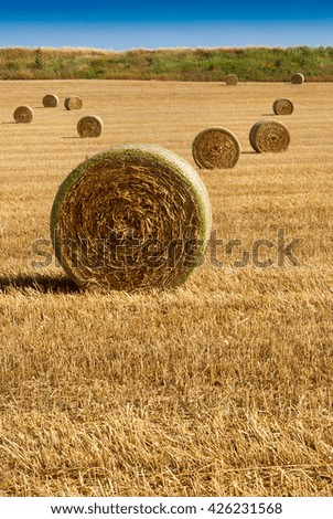 Straw bales on farmland in the sunset