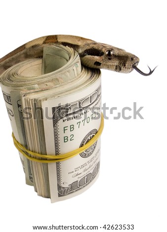 Roll of Dollar Bills with snake boa constrictor.