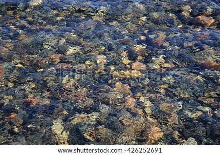 beautiful bubbly water on river closeup
