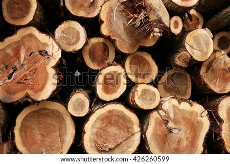 Cedar Logs stacked in a pile.