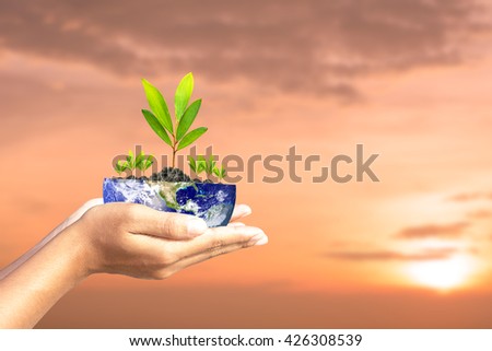 tree in hand. Elements of this image furnished by NASA.