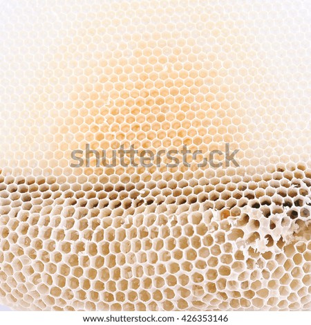 Close up view of natural honeycomb background.