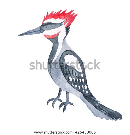 Woodpecker Bird Woodland Animal Watercolor Hand painted Illustration Isolated